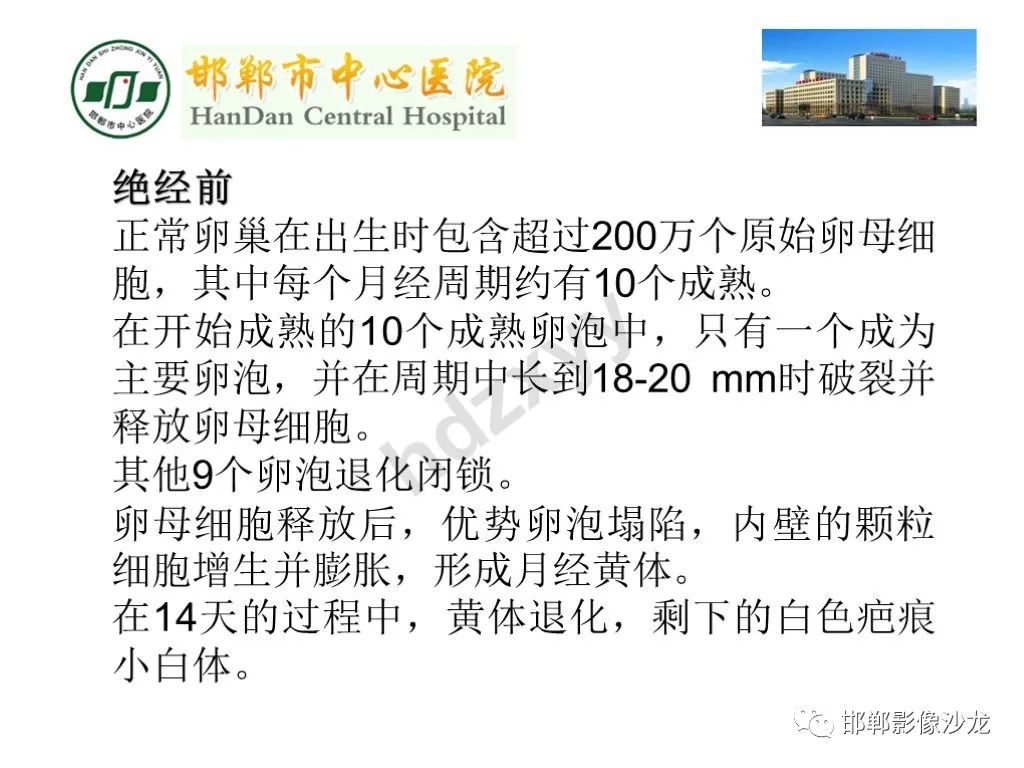 影像PPT - 【PPT】卵巢非肿瘤性病变的影像诊断-6