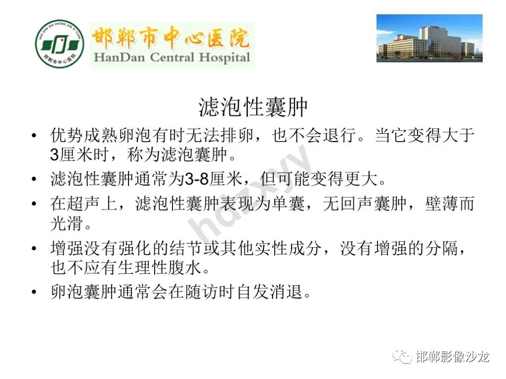 影像PPT - 【PPT】卵巢非肿瘤性病变的影像诊断-13