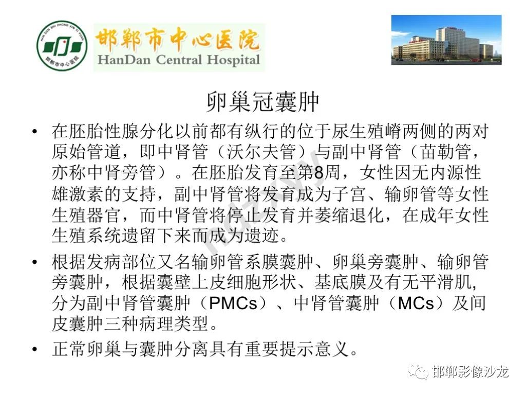 影像PPT - 【PPT】卵巢非肿瘤性病变的影像诊断-24