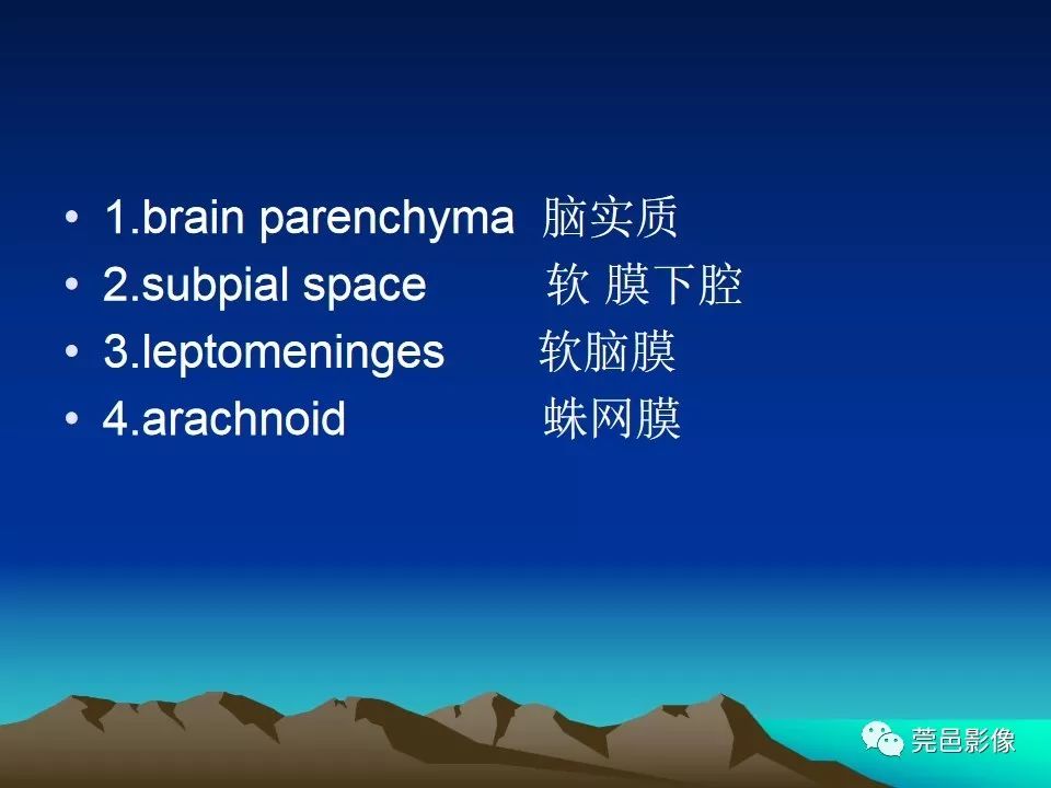 影像PPT - 【PPT】血管周围间隙（V-R间隙）影像诊断-4