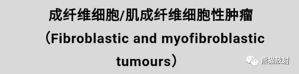 影像PPT - 【病例】韧带样纤维瘤1例MR影像-6 影像PPT - 【病例】韧带样纤维瘤1例MR影像-6