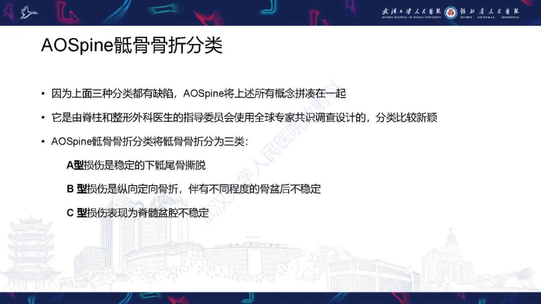 影像PPT - 【PPT】骶骨骨折CT评估-17