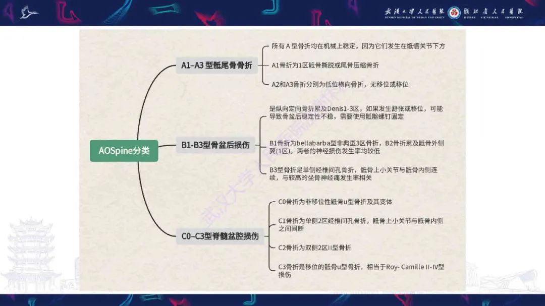 影像PPT - 【PPT】骶骨骨折CT评估-18