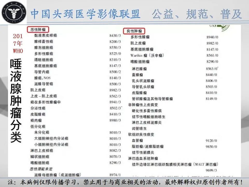 影像PPT - 【PPT】腮腺解剖-12 影像PPT - 【PPT】腮腺解剖-12
