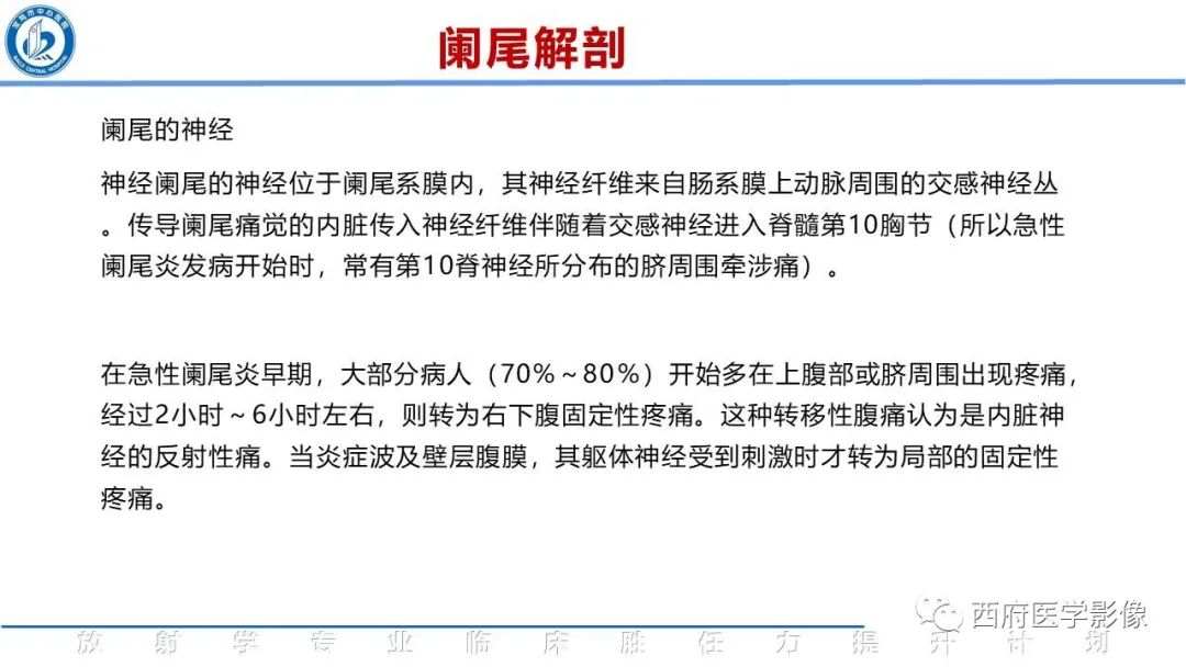 影像PPT - 【PPT】阑尾解剖及阑尾炎影像诊断-5