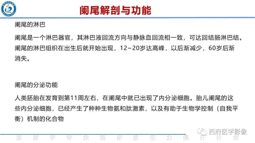 影像PPT - 【PPT】阑尾解剖及阑尾炎影像诊断-6