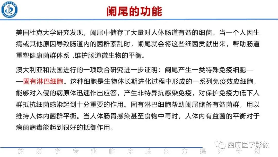 影像PPT - 【PPT】阑尾解剖及阑尾炎影像诊断-7
