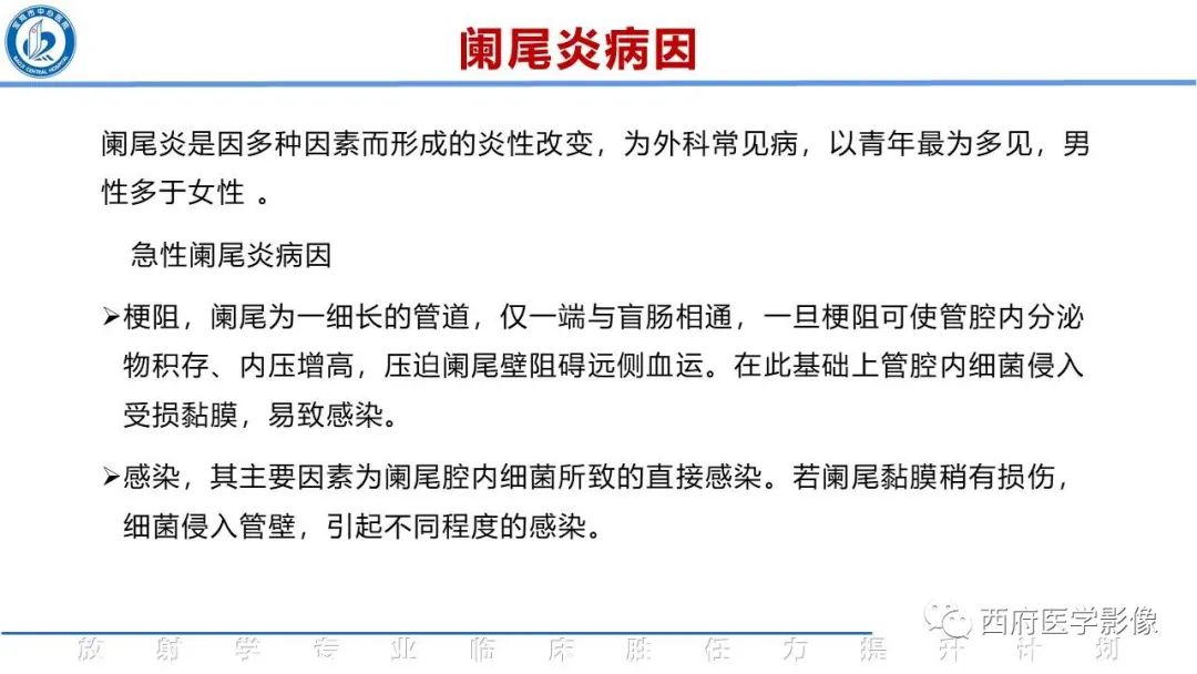 影像PPT - 【PPT】阑尾解剖及阑尾炎影像诊断-8