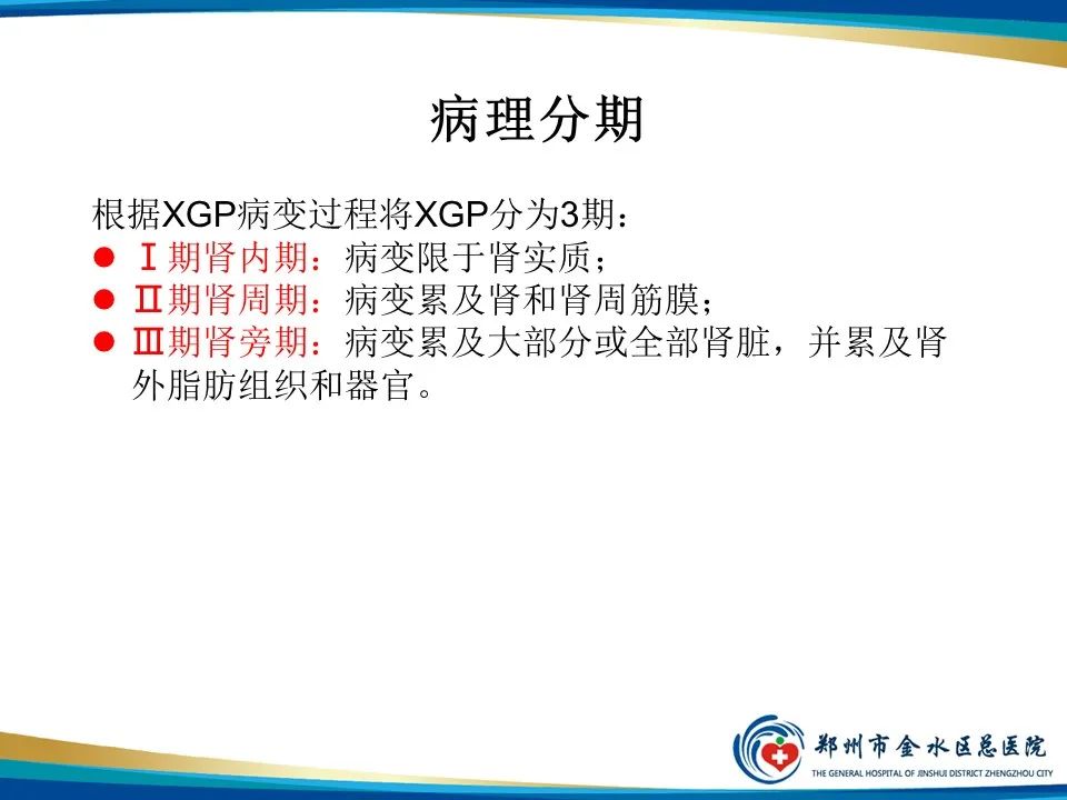 影像PPT - 【PPT】黄色肉芽肿性肾盂肾炎影像表现-8