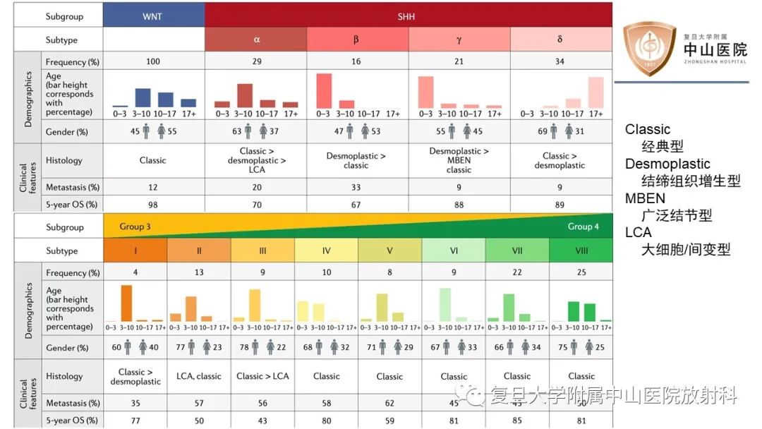 影像PPT - 【病例】成人四脑室髓母细胞瘤2例CT及MR-12