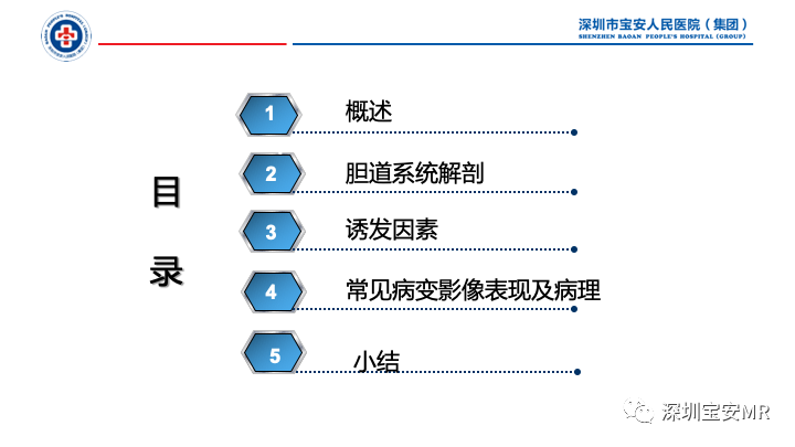 影像PPT - 【PPT】胆道系统癌前病变及病理对照-2