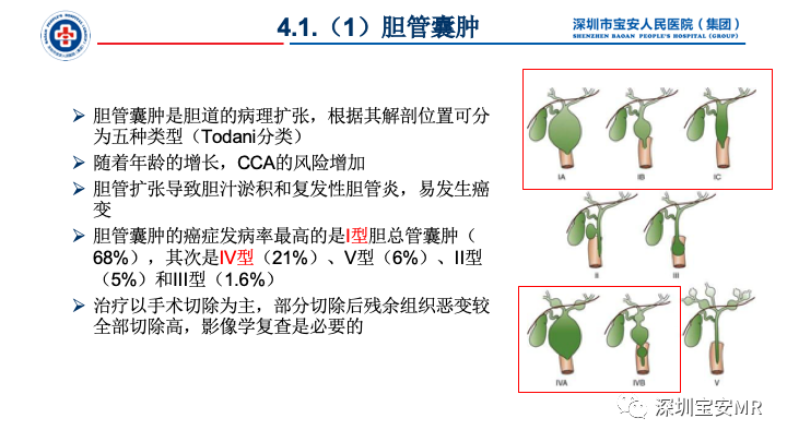 影像PPT - 【PPT】胆道系统癌前病变及病理对照-7