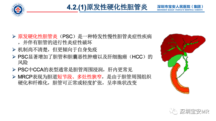 影像PPT - 【PPT】胆道系统癌前病变及病理对照-14