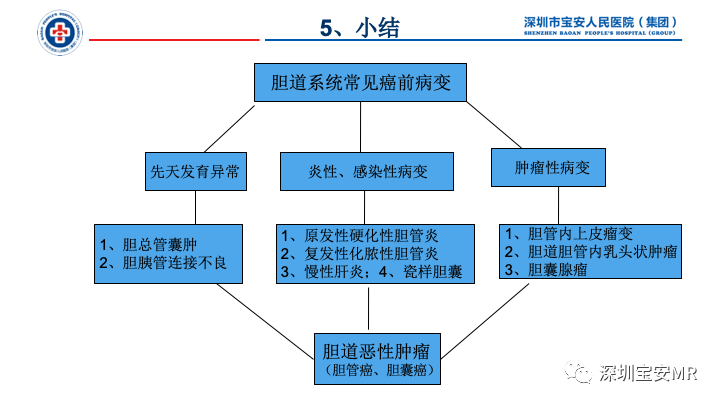 影像PPT - 【PPT】胆道系统癌前病变及病理对照-33