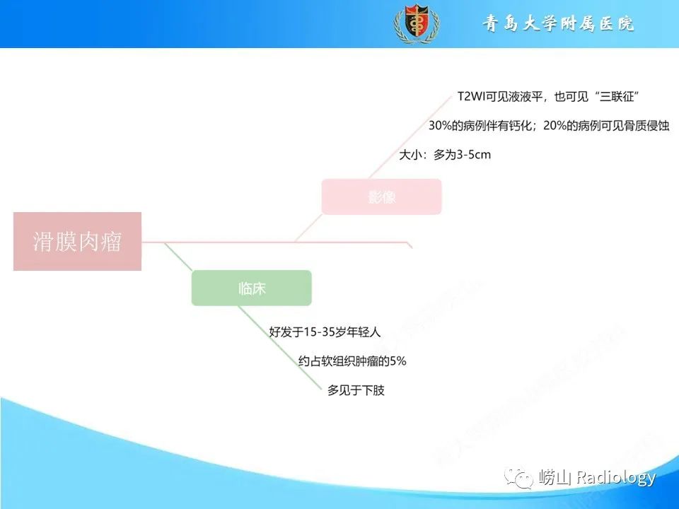 影像PPT - 【PPT】滑膜肉瘤-19