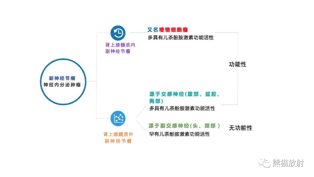 影像PPT - 【病例】腹膜后副神经节瘤 VS 神经鞘瘤-14