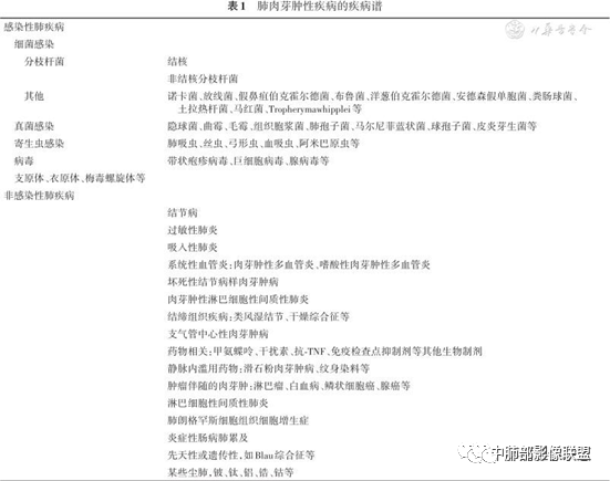 影像PPT - 【病例】肉芽肿性炎特征之一——结节融合征象-24 影像PPT - 【病例】肉芽肿性炎特征之一——结节融合征象-24