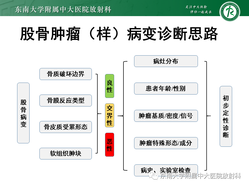 影像PPT - 【PPT】股骨肿瘤（样）病变影像诊断思路-24