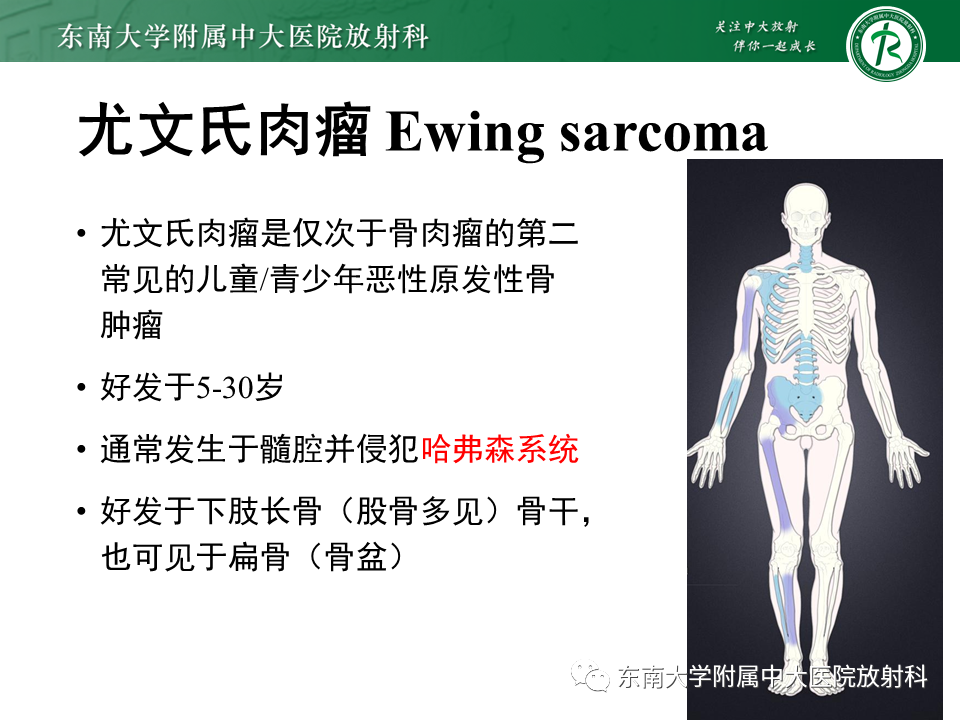 影像PPT - 【PPT】股骨肿瘤（样）病变影像诊断思路-39