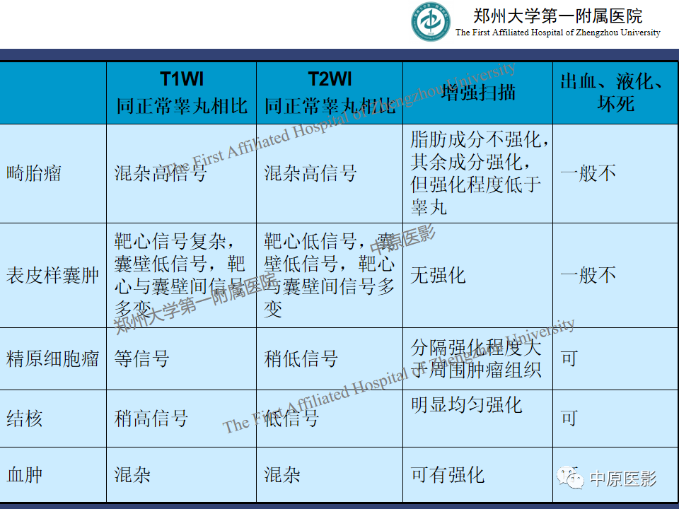 影像PPT - 【病例】睾丸畸胎瘤1例MR影像-36