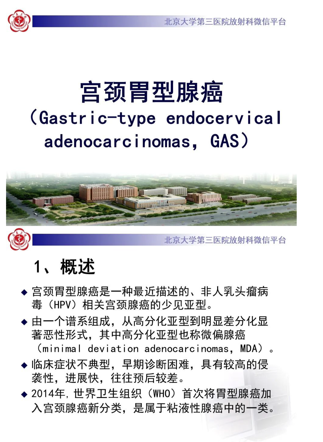影像PPT - 【PPT】宫颈胃型腺癌-9