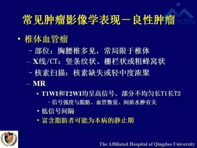 影像PPT - 【PPT】脊柱肿瘤影像诊断思路-12
