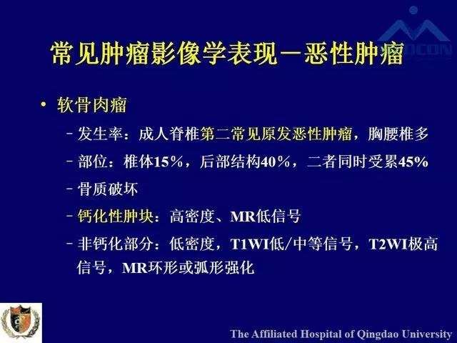 影像PPT - 【PPT】脊柱肿瘤影像诊断思路-23
