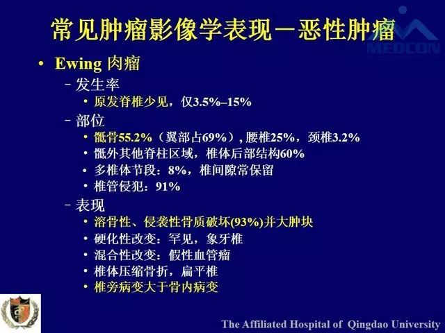 影像PPT - 【PPT】脊柱肿瘤影像诊断思路-32