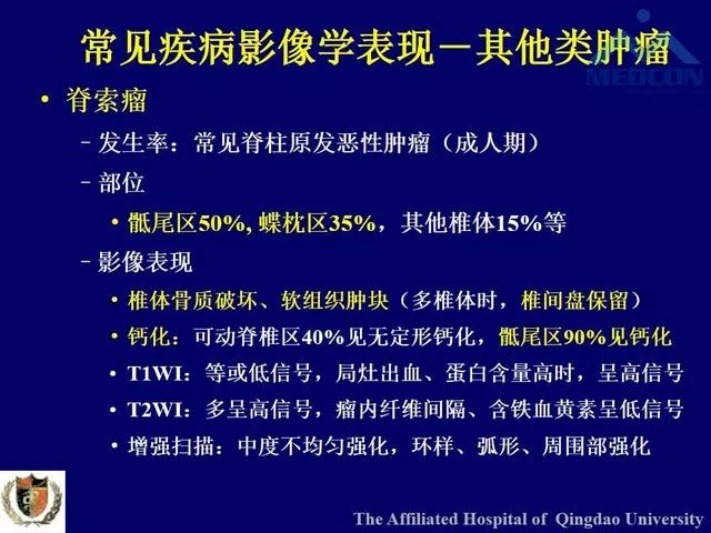影像PPT - 【PPT】脊柱肿瘤影像诊断思路-36