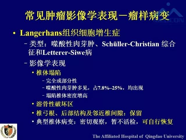影像PPT - 【PPT】脊柱肿瘤影像诊断思路-39