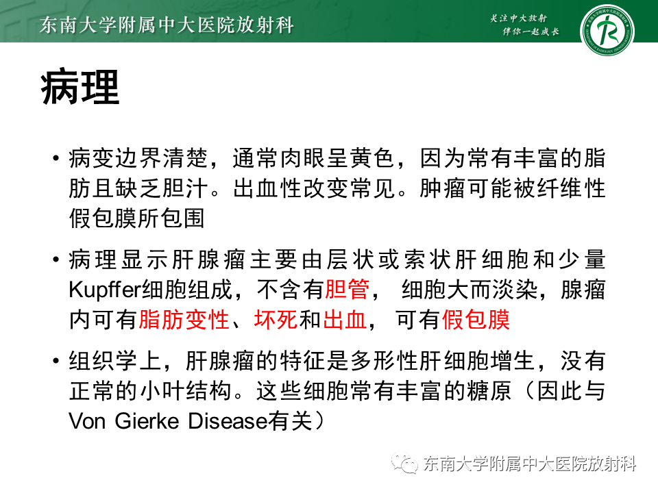 影像PPT - 【PPT】肝细胞腺瘤-10