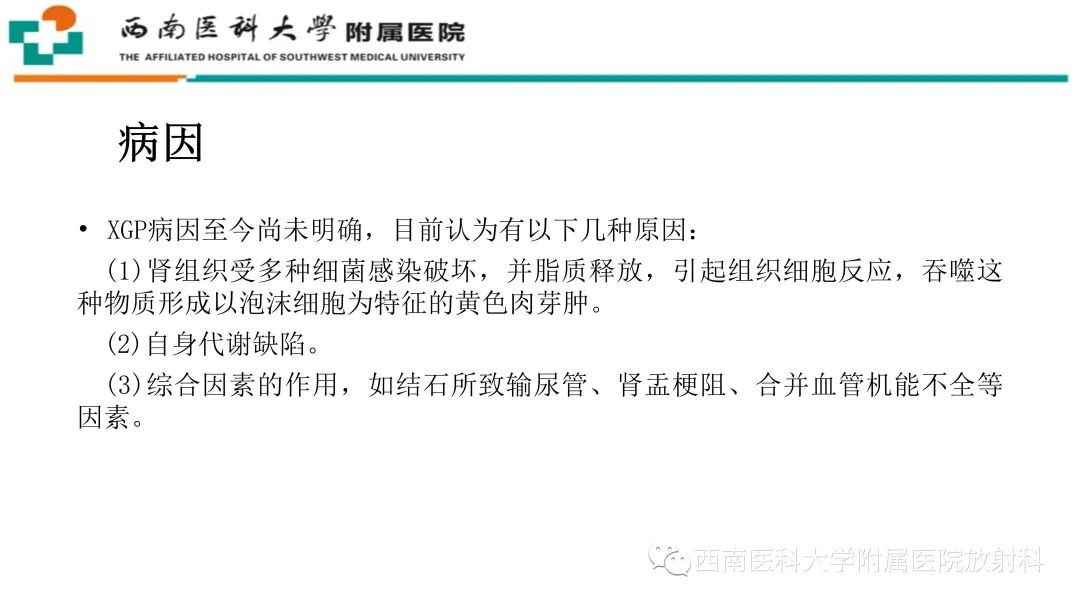 影像PPT - 【PPT】黄色肉芽肿性肾盂肾炎-14