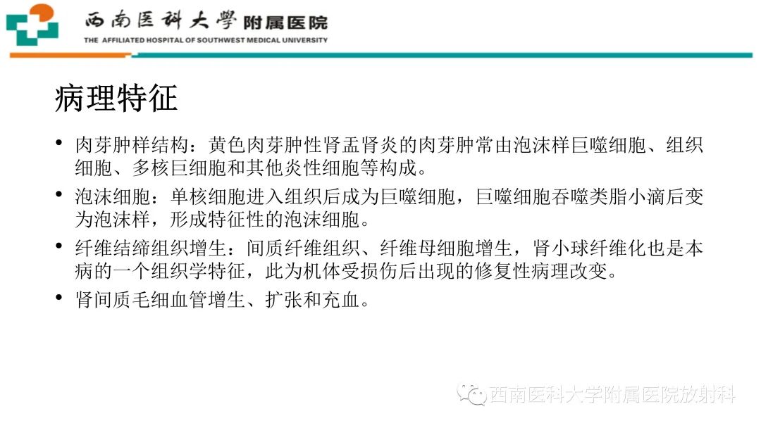 影像PPT - 【PPT】黄色肉芽肿性肾盂肾炎-17