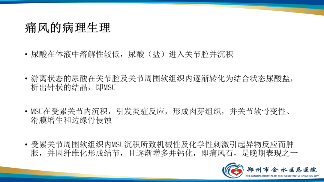 影像PPT - 【PPT】痛风的影像诊断及鉴别诊断-3