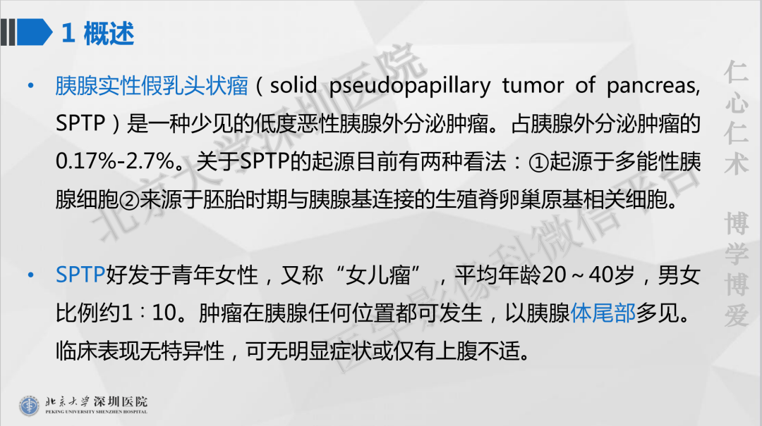 影像PPT - 【PPT】胰腺实性假乳头状瘤-14