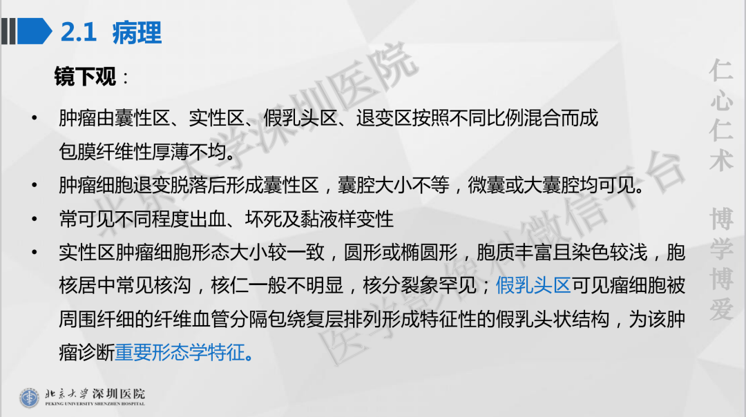 影像PPT - 【PPT】胰腺实性假乳头状瘤-17