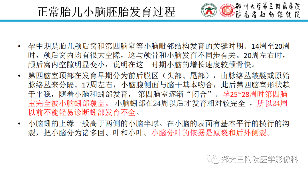 影像PPT - 【PPT】正常胎儿小脑胚胎发育及常见疾病异常发育过程-3