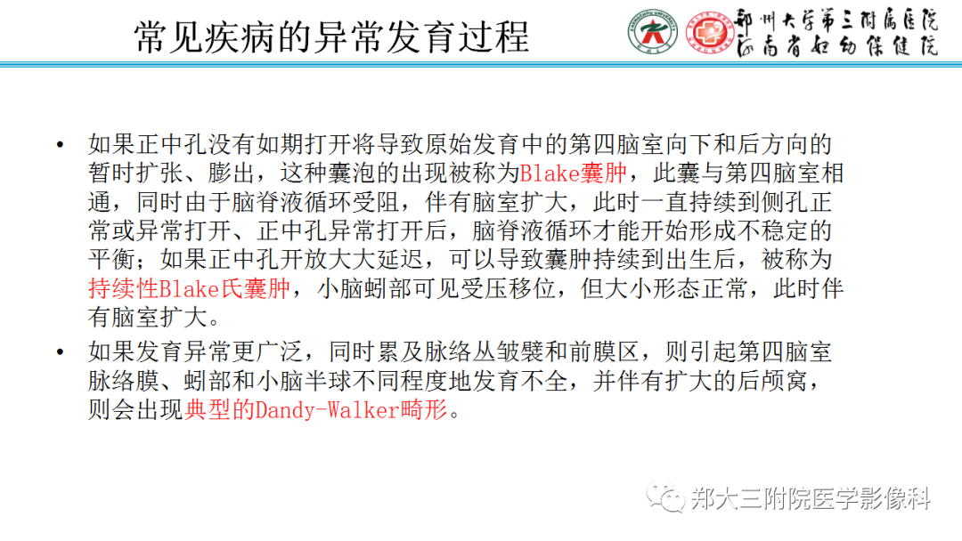 影像PPT - 【PPT】正常胎儿小脑胚胎发育及常见疾病异常发育过程-9