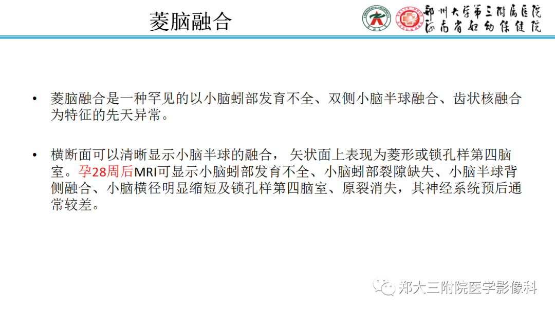 影像PPT - 【PPT】正常胎儿小脑胚胎发育及常见疾病异常发育过程-13