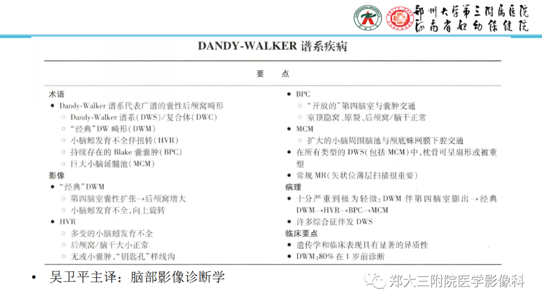 影像PPT - 【PPT】正常胎儿小脑胚胎发育及常见疾病异常发育过程-15