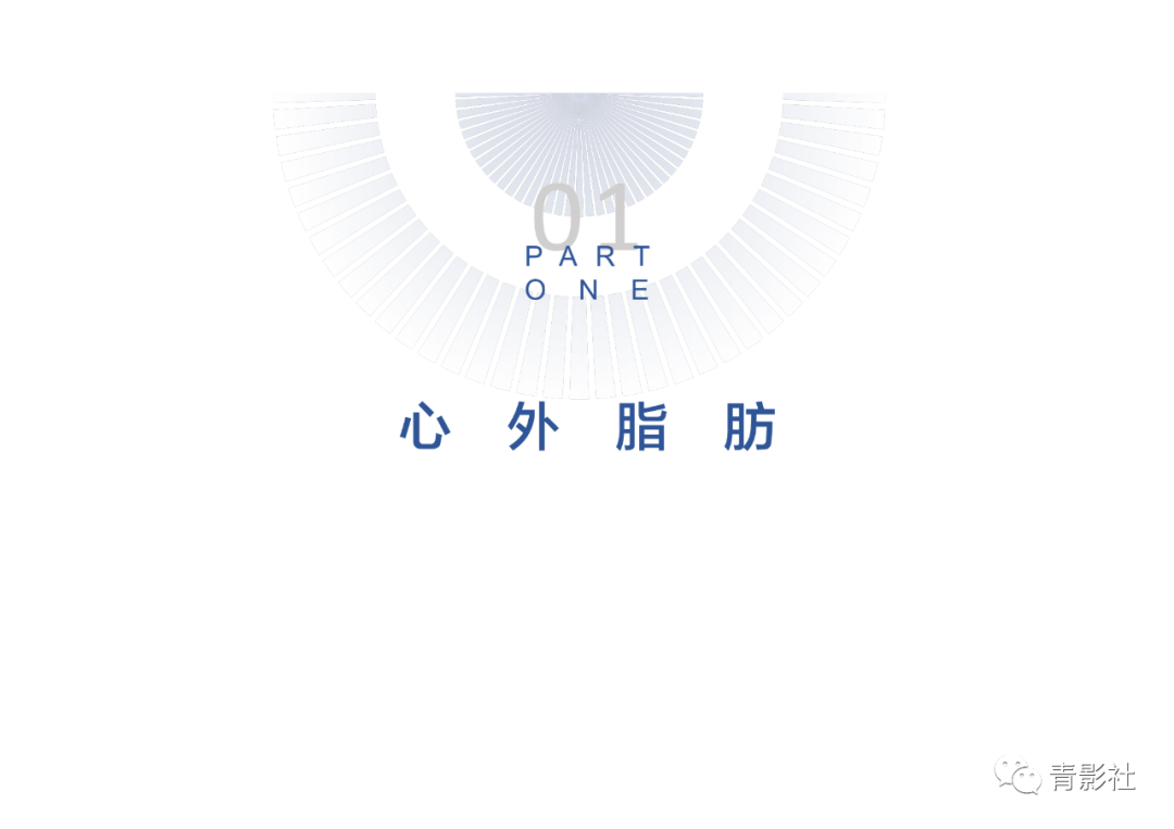 影像PPT - 【PPT】心脏脂肪临床意义和分析思路-4