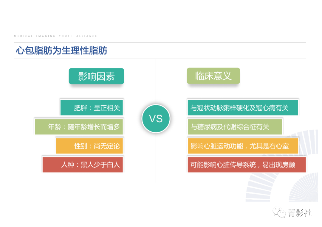 影像PPT - 【PPT】心脏脂肪临床意义和分析思路-8