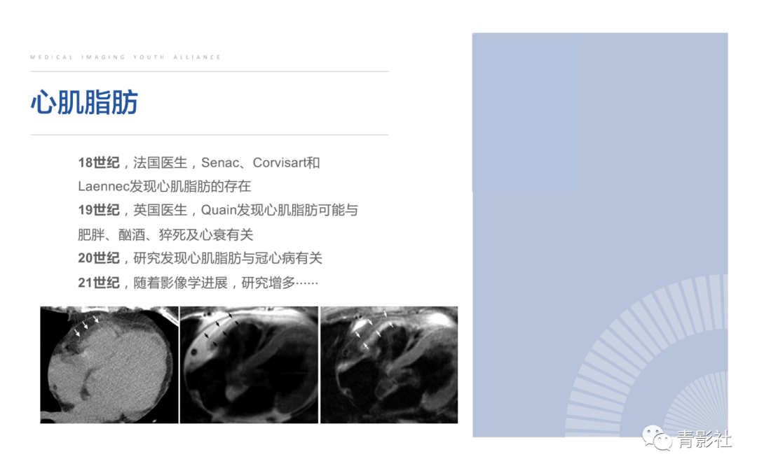 影像PPT - 【PPT】心脏脂肪临床意义和分析思路-10
