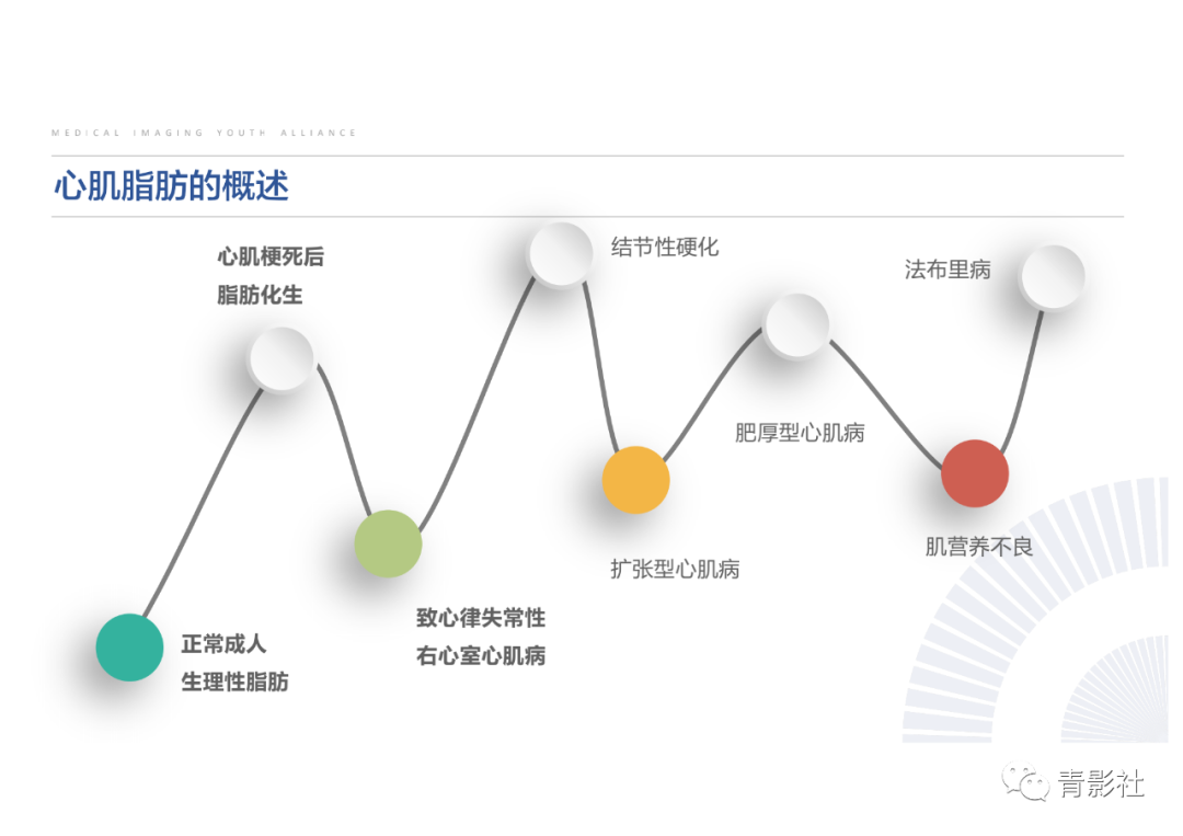 影像PPT - 【PPT】心脏脂肪临床意义和分析思路-11
