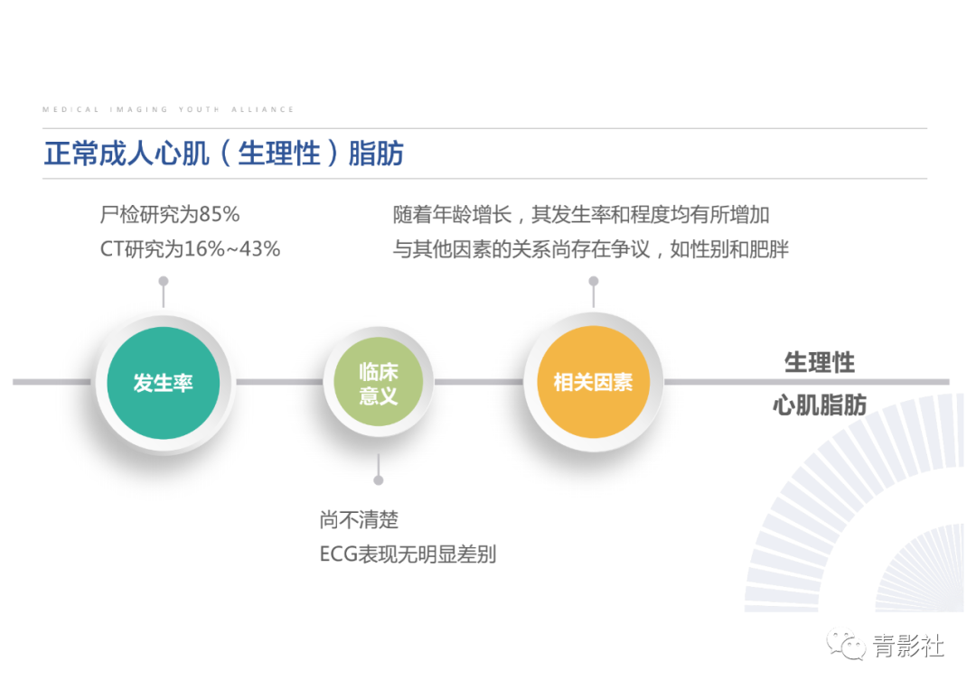 影像PPT - 【PPT】心脏脂肪临床意义和分析思路-12