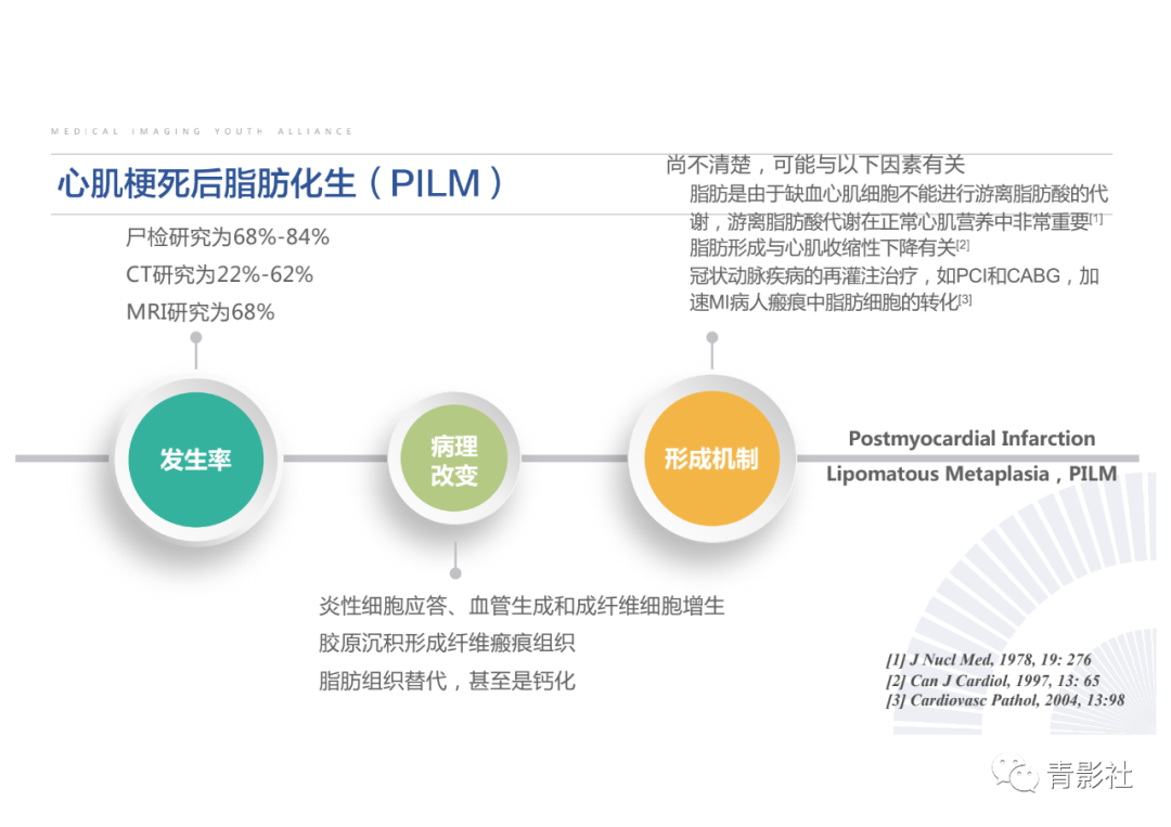 影像PPT - 【PPT】心脏脂肪临床意义和分析思路-18