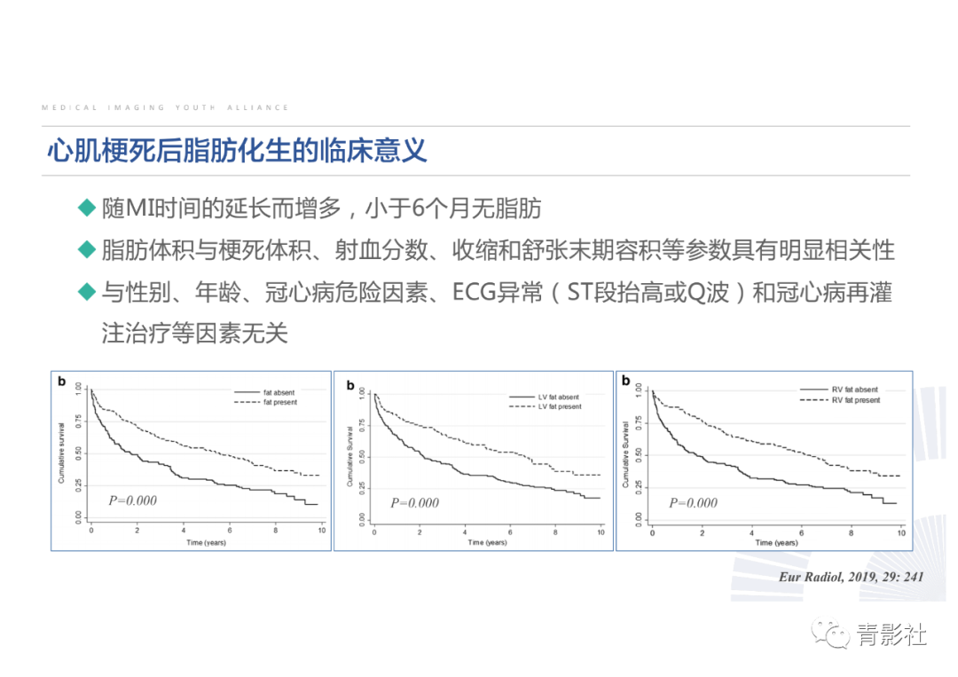 影像PPT - 【PPT】心脏脂肪临床意义和分析思路-23