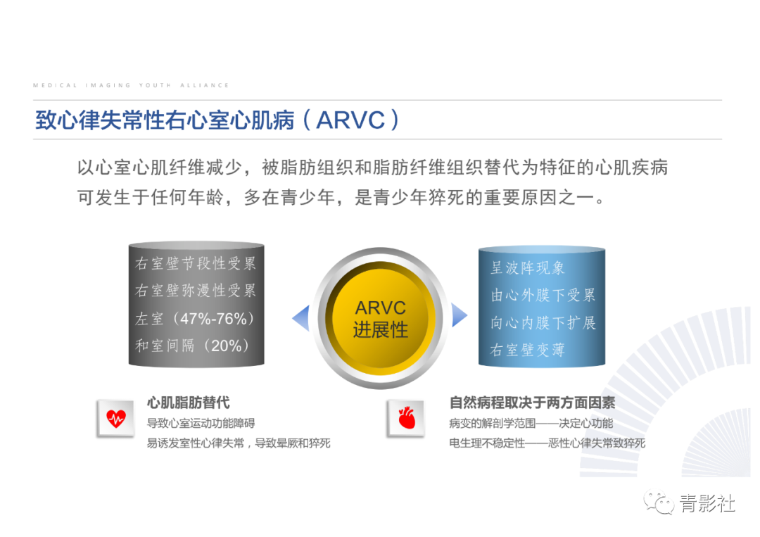 影像PPT - 【PPT】心脏脂肪临床意义和分析思路-24