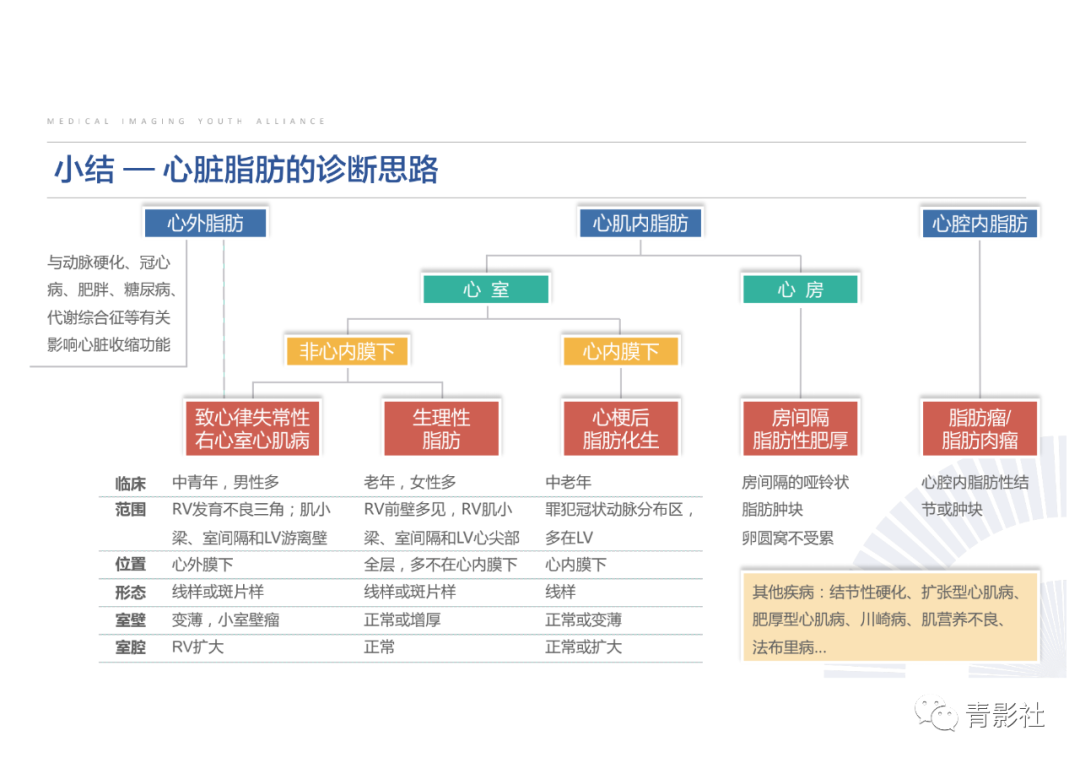 影像PPT - 【PPT】心脏脂肪临床意义和分析思路-36