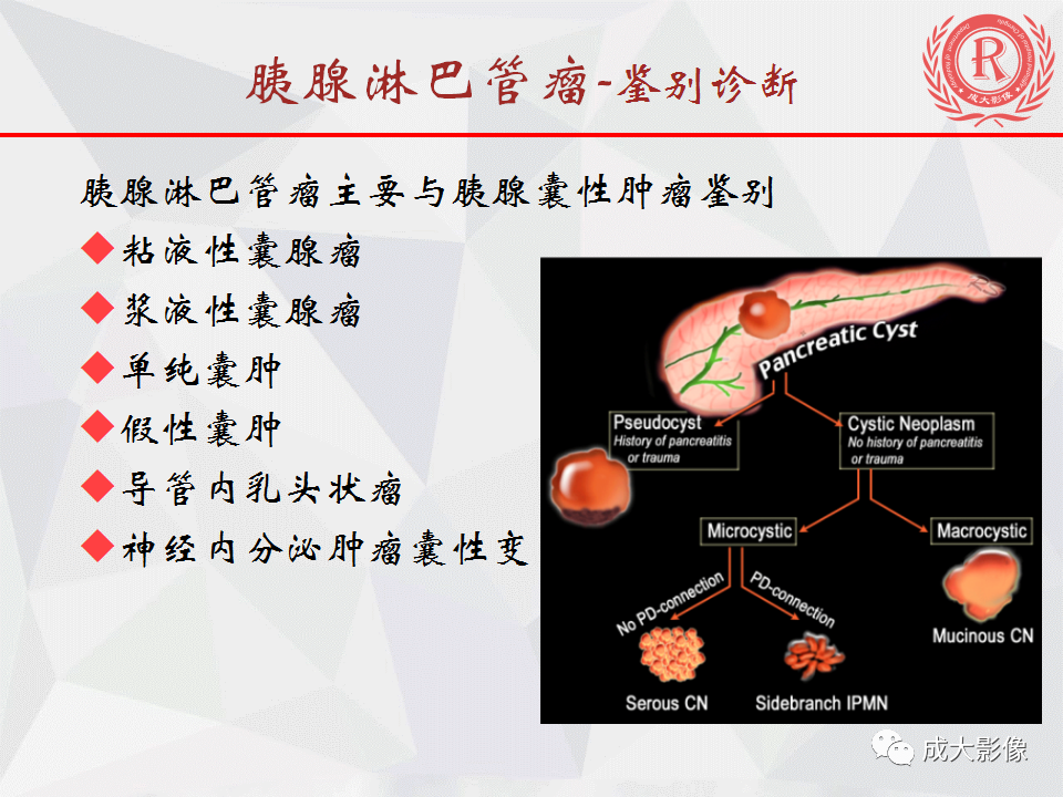 影像PPT - 【PPT】胰腺良性间叶源性肿瘤影像诊断-13